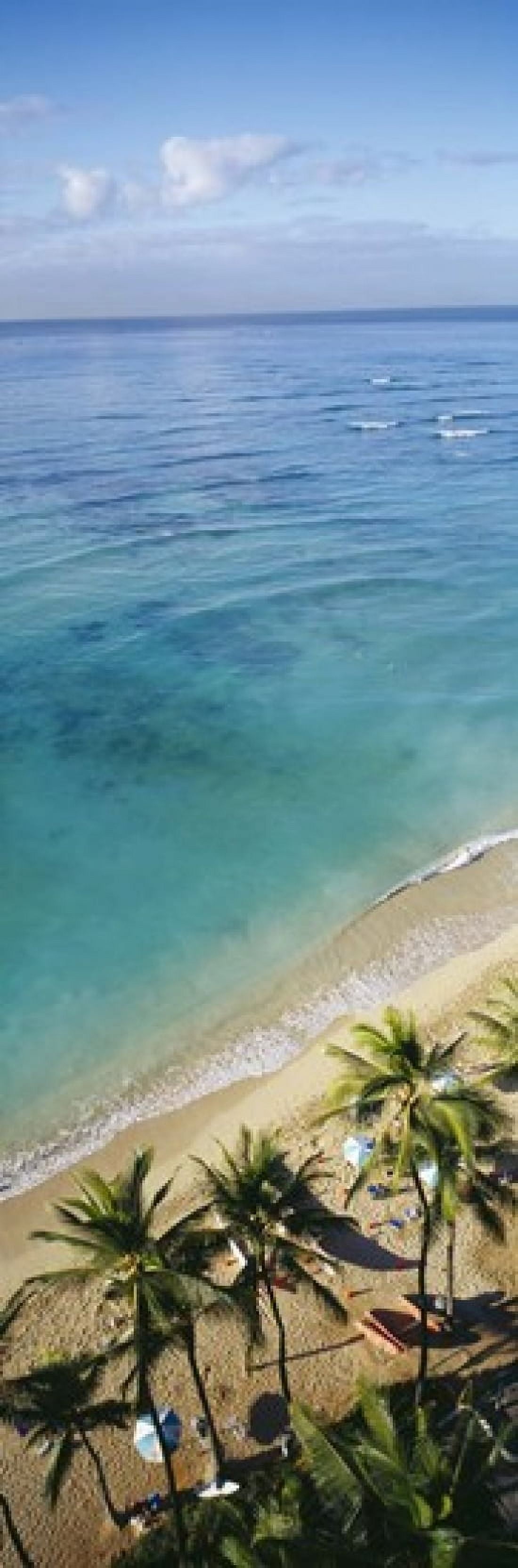 High angle view of palm trees with beach umbrellas on the beach