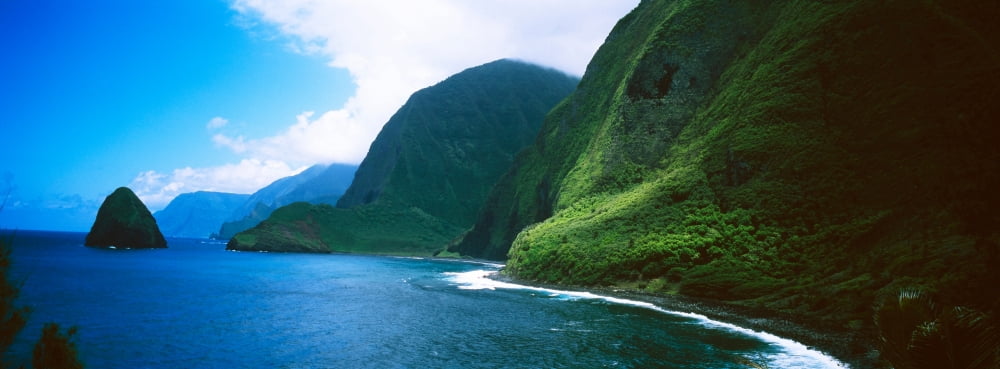 High angle view of sea cliffs at Kalawao Pacific Ocean Kalaupapa Peninsula Molokai Hawaii USA Canvas Art - Panoramic Images (36 x 12)