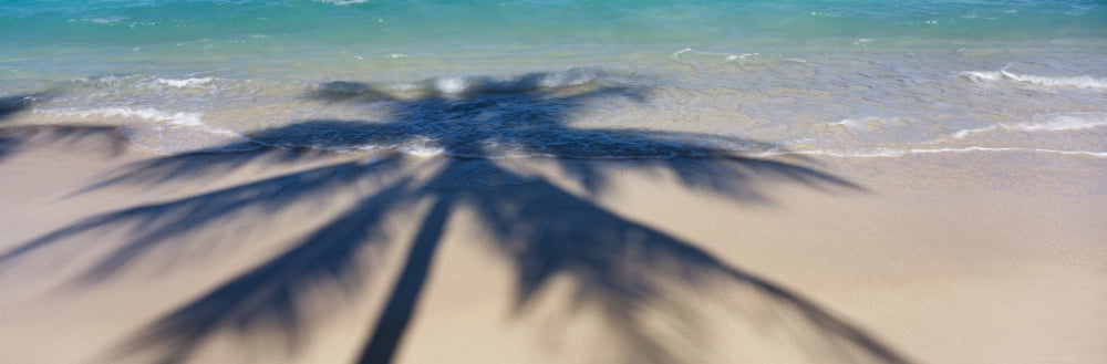 High angle view of shadow of a tree on the beach Hawaii USA Canvas Art - Panoramic Images (36 x 12)