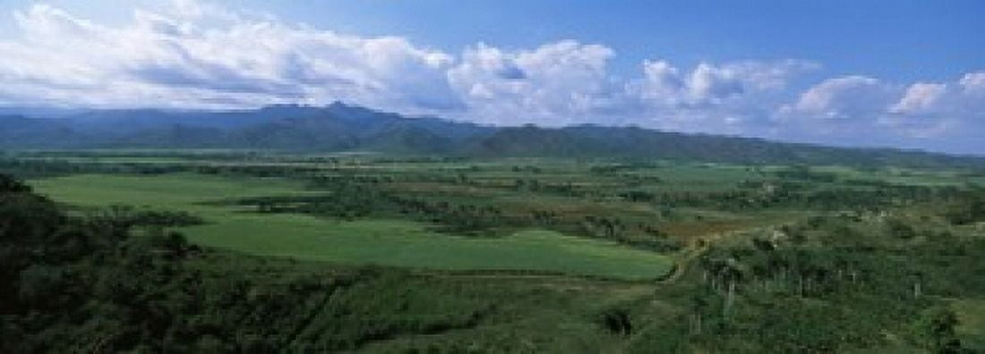 High angle view of sugar cane fields Cienfuegos Cienfuegos Province Cuba Canvas Art - Panoramic Images (18 x 7)