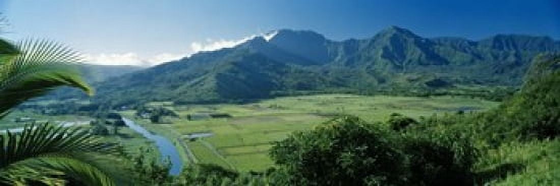 High angle view of taro fields Hanalei Valley Kauai Hawaii USA Canvas Art - Panoramic Images (18 x 6)