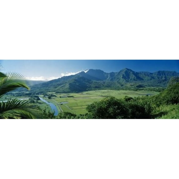High angle view of taro fields, Hanalei Valley, Kauai, Hawaii, USA Poster Print (18 x 6)