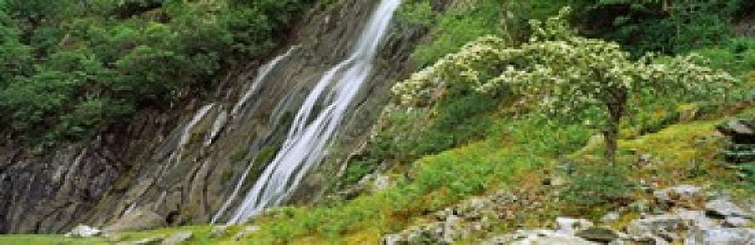 High angle view of the Aber Falls Abergwyngregyn Gwynedd Wales Canvas Art - Panoramic Images (36 x 12)