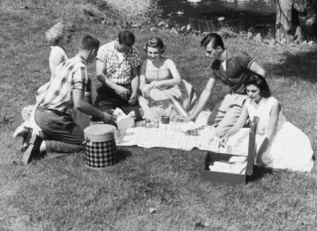 High angle view of three young couples having a picnic Canvas Art - (24 x 36)