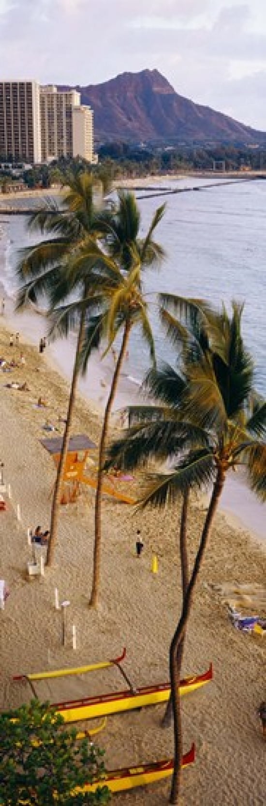 High angle view of tourists on the beach Waikiki Beach Honolulu Oahu Hawaii USA Canvas Art - Panoramic Images (18 x 6)