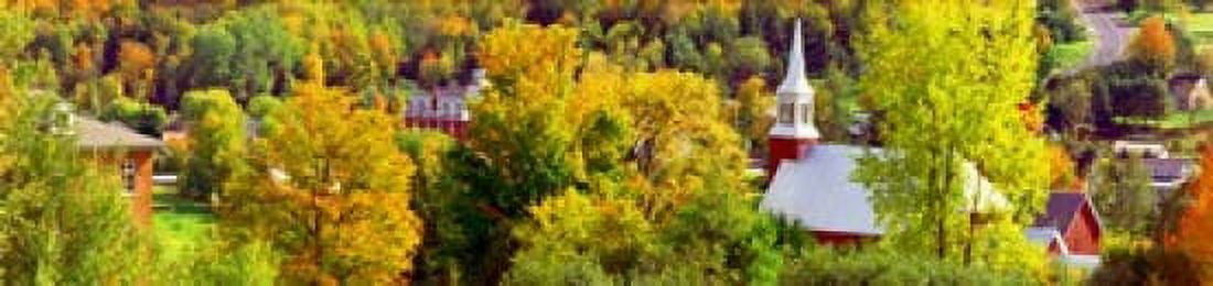 High angle view of trees Frelighsburg Quebec Canada Canvas Art - Panoramic Images (20 x 5)