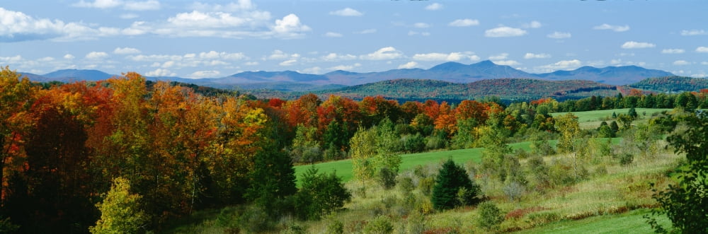 High angle view of trees in the forest Newport Vermont New England USA Canvas Art - Panoramic Images (27 x 9)
