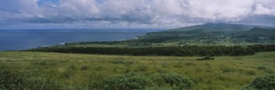 High angle view of trees on a landscape Easter Island Chile Canvas Art - Panoramic Images (36 x 12)