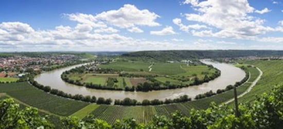 High angle view of vineyards Neckar River Mundelsheim Baden-Wurttemberg Germany Canvas Art - Panoramic Images (30 x 14)