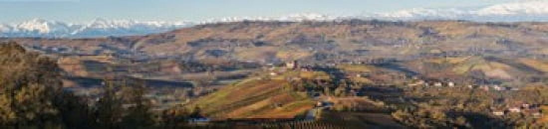 High angle view of vineyards and castle Grinzane Cavour Langhe Cuneo Province Piedmont Italy Canvas Art - Panoramic Images (20 x 5)