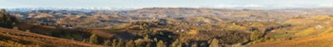 High angle view of vineyards and castle Grinzane Cavour Langhe Cuneo Province Piedmont Italy Canvas Art - Panoramic Images (22 x 4)