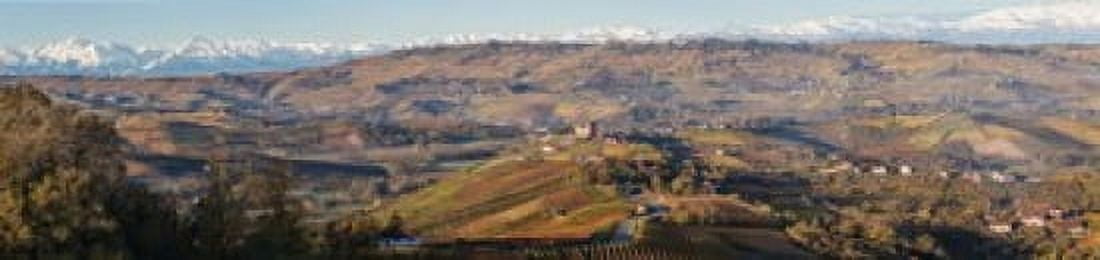 High angle view of vineyards and castle Grinzane Cavour Langhe Cuneo Province Piedmont Italy Canvas Art - Panoramic Images (40 x 10)