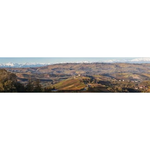 High angle view of vineyards and castle Grinzane Cavour Langhe Cuneo Province Piedmont Italy Canvas Art - Panoramic Images (40 x 10)