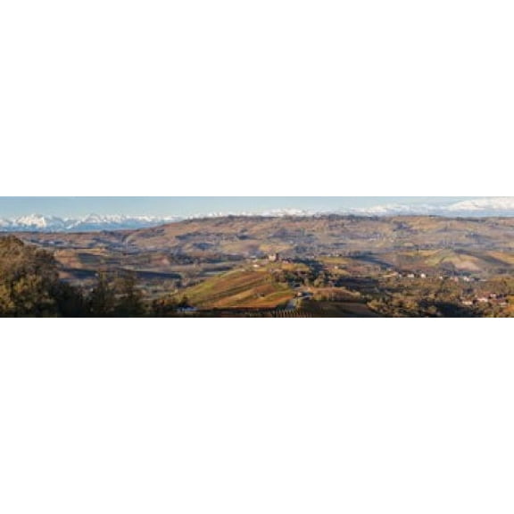 High angle view of vineyards and castle, Grinzane Cavour, Langhe, Cuneo Province, Piedmont, Italy Poster Print (20 x 5)