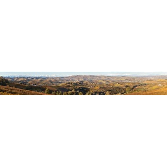 High angle view of vineyards and castle, Grinzane Cavour, Langhe, Cuneo Province, Piedmont, Italy Poster Print (22 x 4)