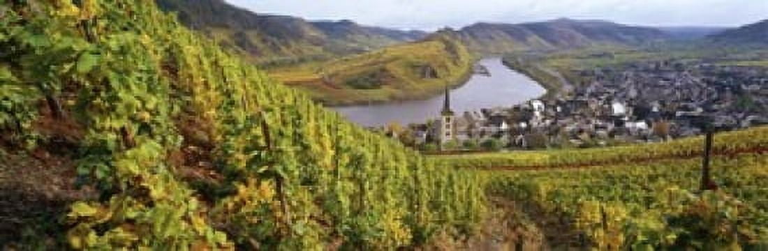 High angle view of vineyards with town along the river Bremm Mosel River Calmont Rhineland-Palatinate Germany Canvas Art - Panoramic Images (18 x 6)