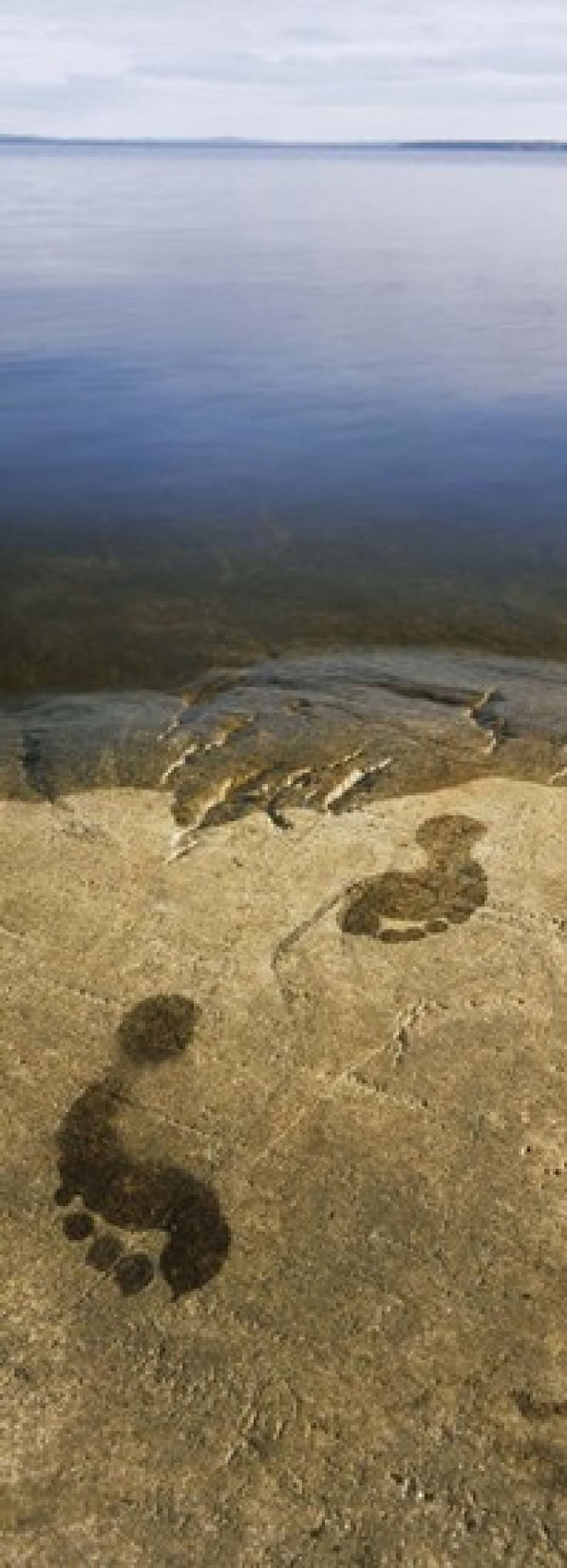 High angle view of wet footprints on a rock Lake Pielinen Lieksa Finland Canvas Art - Panoramic Images (18 x 7)