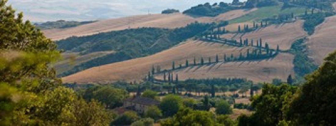 High angle view of winding road in valley Tuscany Italy Canvas Art - Panoramic Images (30 x 12)