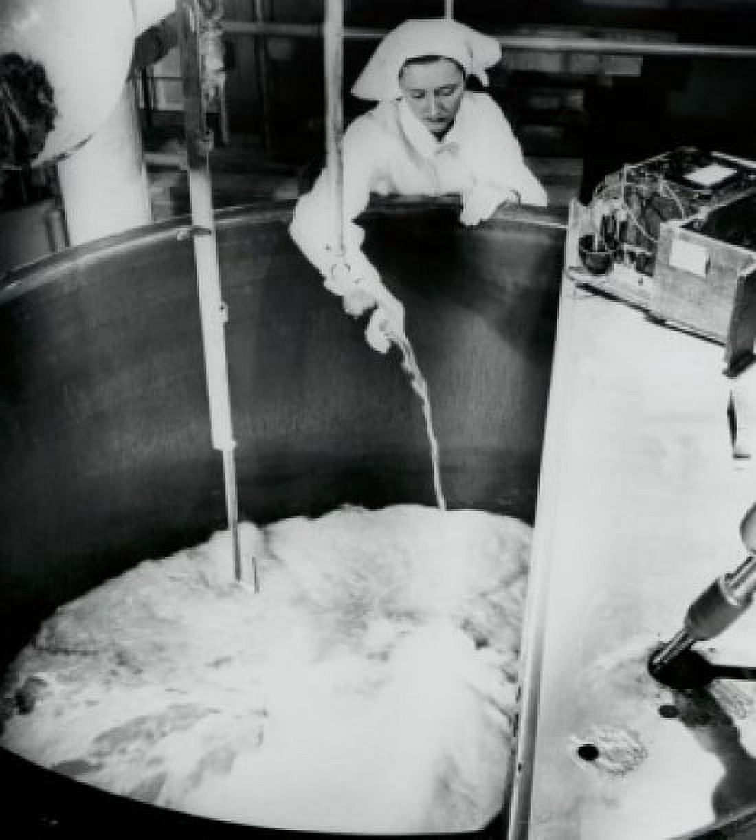 High angle view of a young woman testing a tank of aureomycin in a laboratory Lederle Laboratories Division American Cyanamid Company Pearl River New York USA Canvas Art -  (24 x 36)
