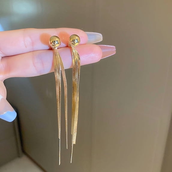 High-end Metallic Feel Front and Back Wear Long Tassel Silver Needle Earrings Fashion Simple Niche Temperament Internet Celebrity Earrings for Women