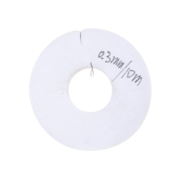 High-quality 0.3mm Nichrome Wire 10m Length Resistance Resistor AWG Wire Hot WA