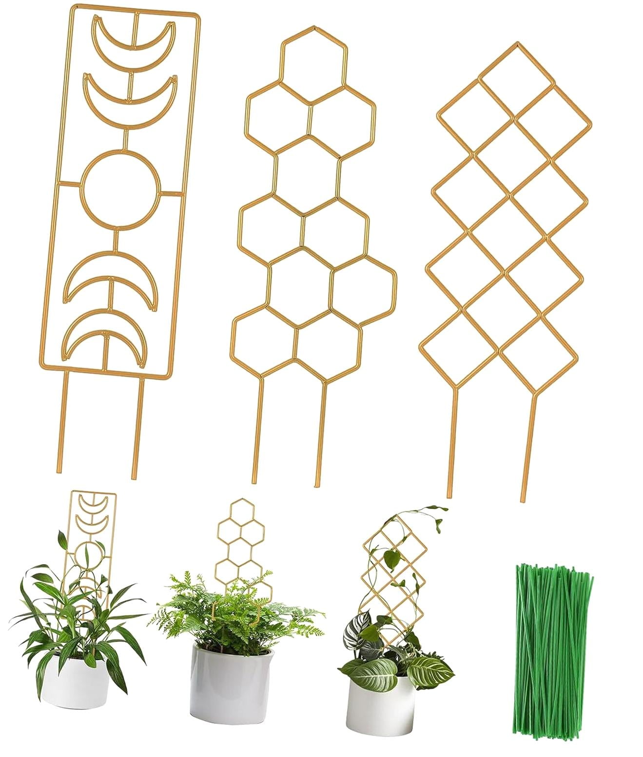 Garden Trellises at Tractor Supply Co.