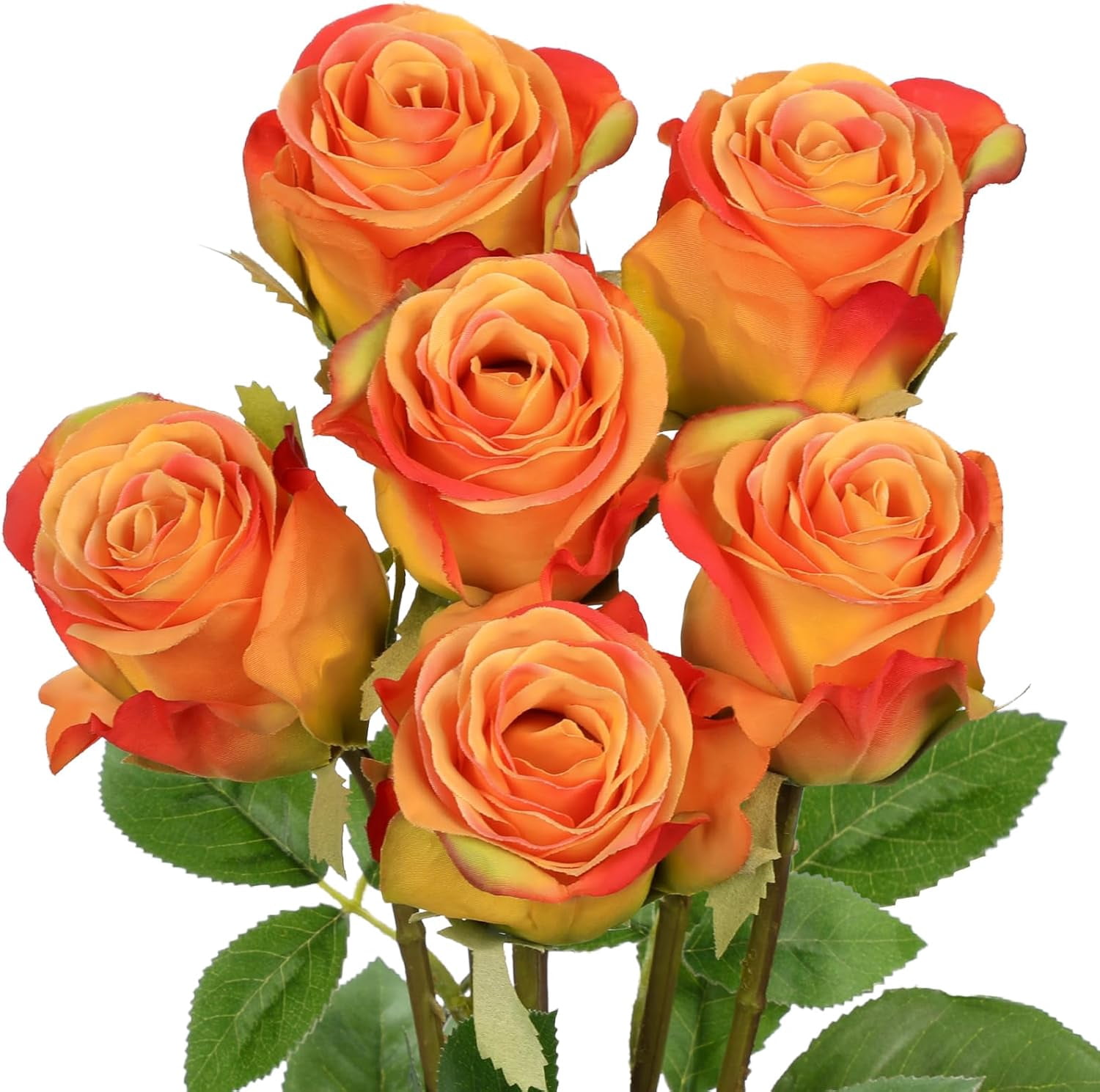 Highcool Roses – 6PCS 18.9