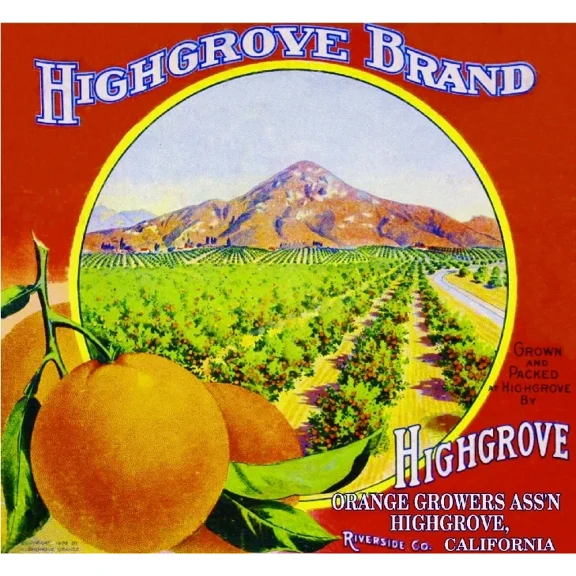 Highgrove Riverside Sugar Loaf Mountain #5 Orange Citrus Fruit Print Home Decor Office Wall Art