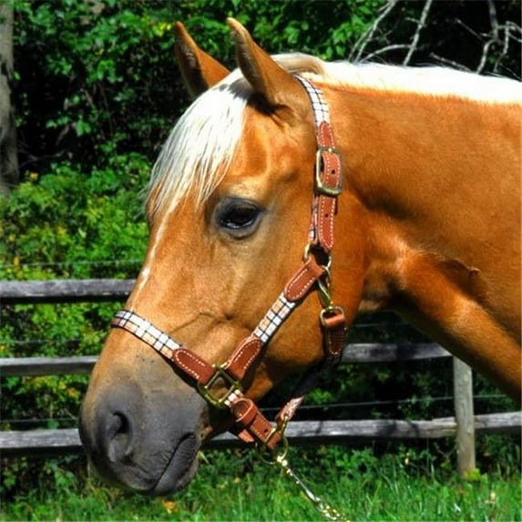 Highland 127000BG Halter with Leather Accents - Beige Warmblood