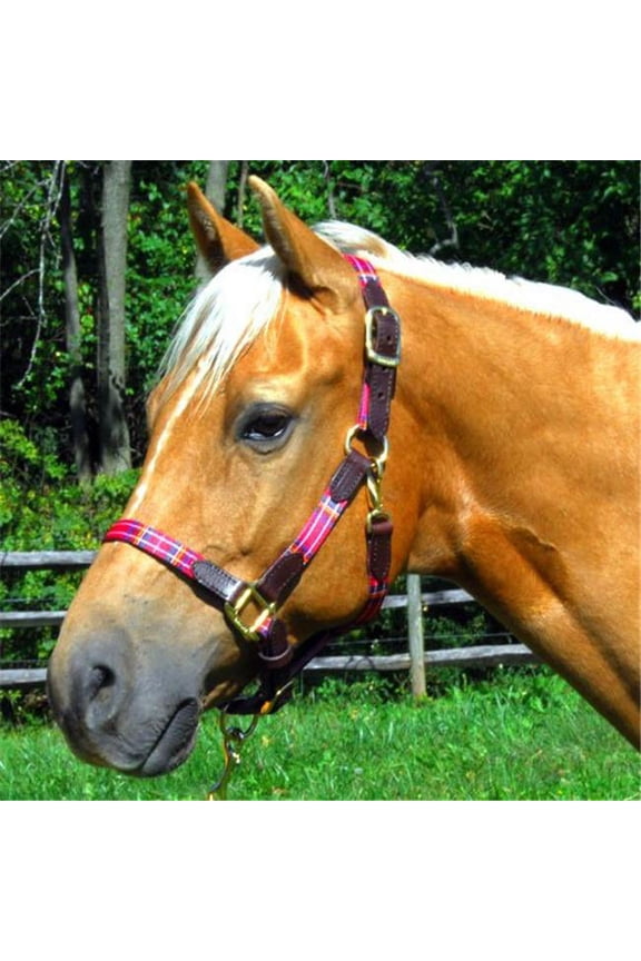 127010R Halter with Leather Accents - Red Horse