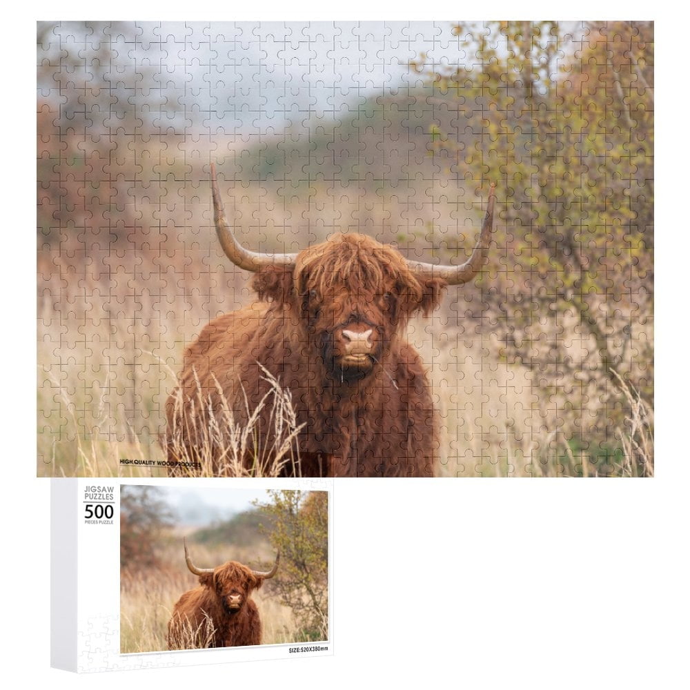 Highland Cattle with Big Horns Grazing Jigsaw Puzzles 500 Pieces for