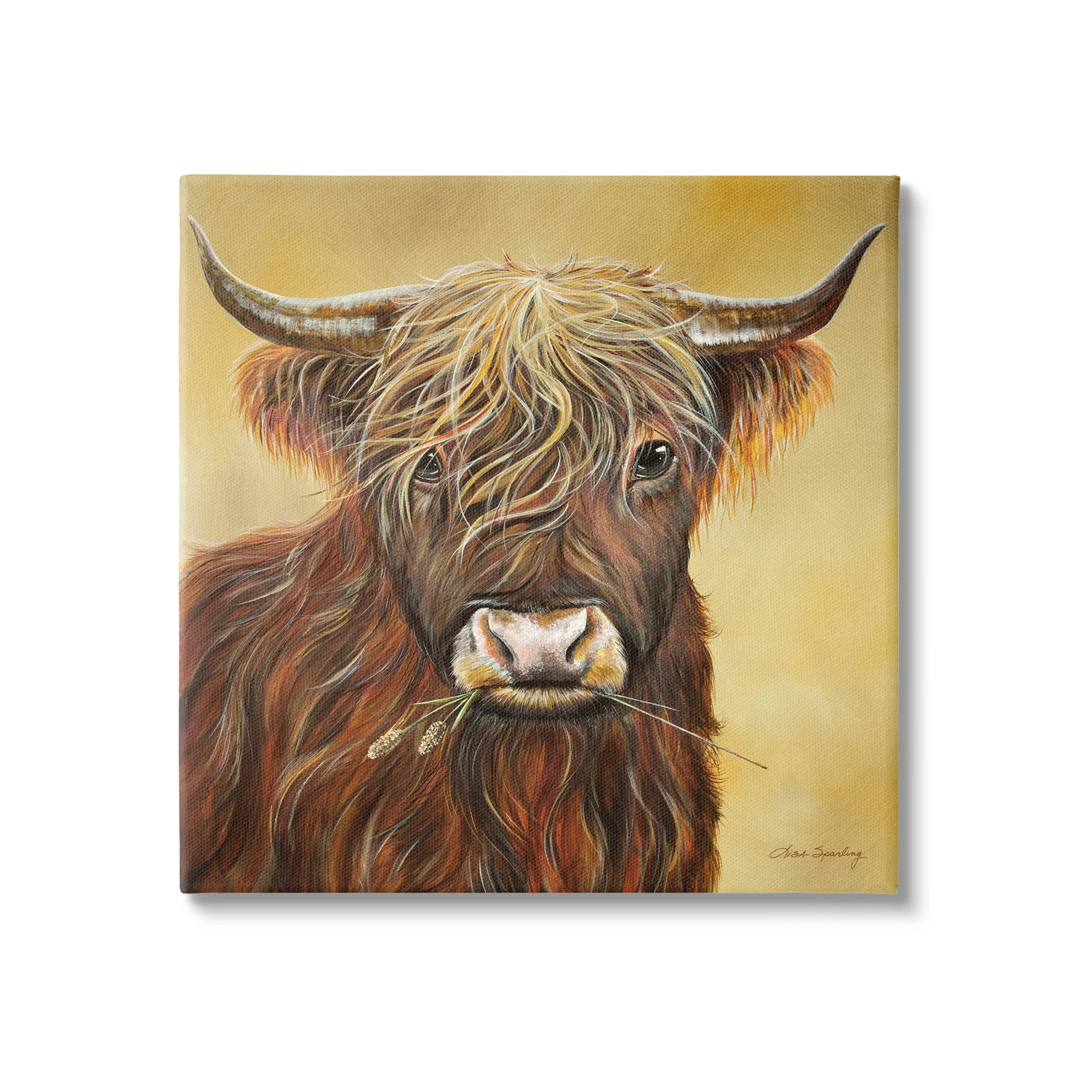 Highland Cattle Chewing Grass Portrait Animals & Insects Painting Gallery Wrapped Canvas Print Wall Art