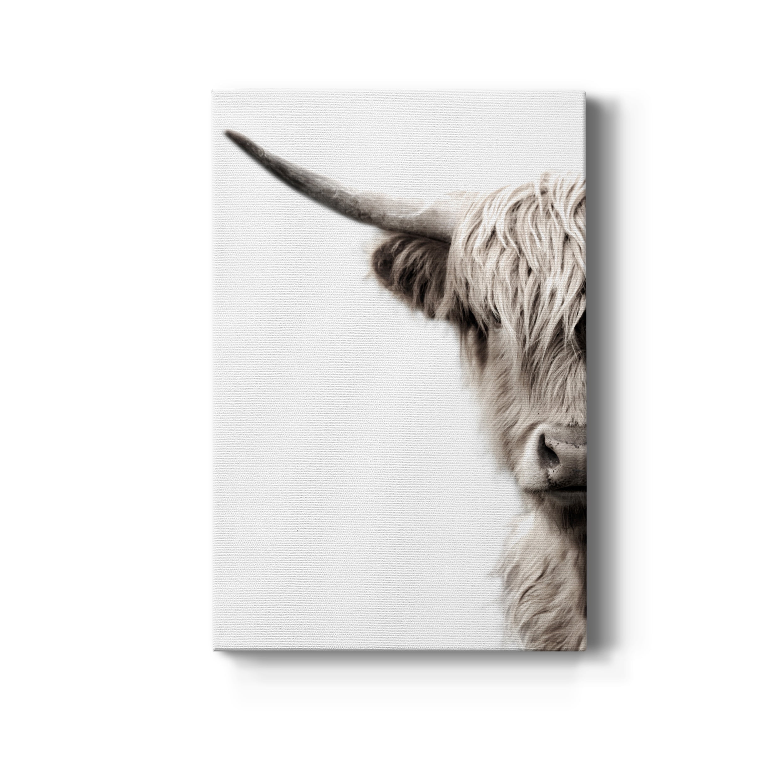 Highland Cattle Premium Gallery Wrapped Canvas - Ready to Hang - 8 x 12