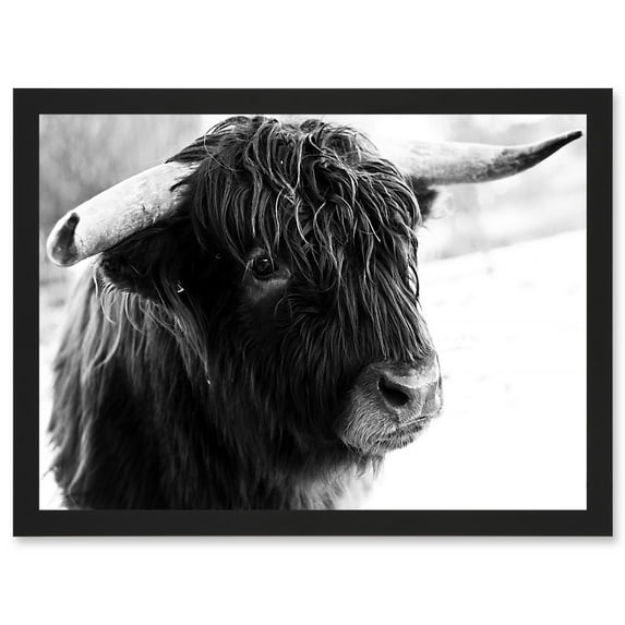 Highland Cow Bull Horns Black White Photo Aesthetic A4 Artwork Framed Wall Art Print