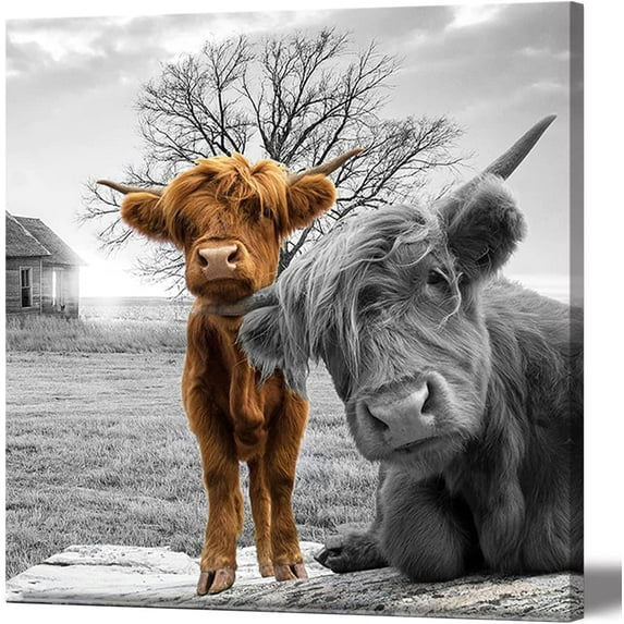 Highland Cow Canvas Wall Art Black and White Animal Print Pictures Highland Cattle Photo Farmhouse Painting 16x16 inches for Home Decor