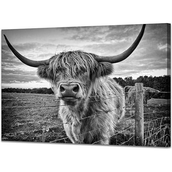 Highland Cow Canvas Wall Art Black and White Cow Photos for Wall Nature Cow Picture Framed Animal Poster Artwork for Bathroom Decor