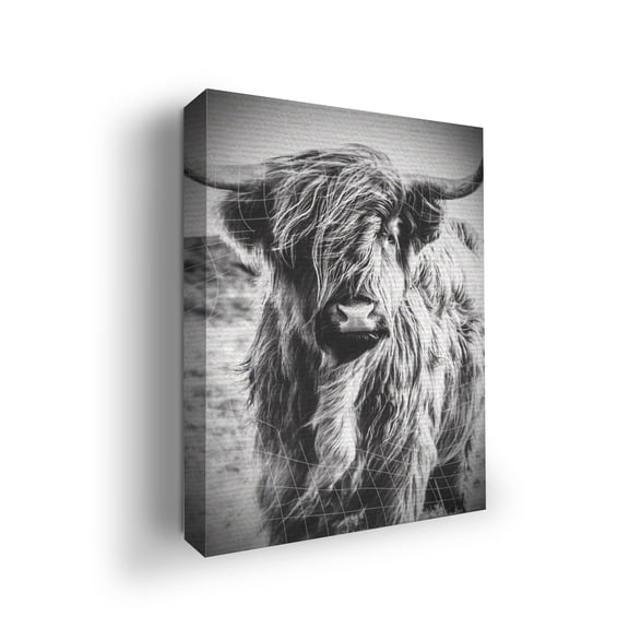 Highland Cow Canvas Wall Art by DreamController- 12x16 inches Animal Wall Decor | HD Printed & Wooden framed wall art | Modern Wall Decor for Bedroom, Living Room, Kitchen, Office, Kids Room | Made i
