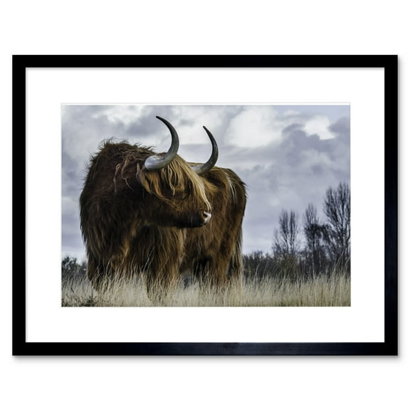 Highland Cow Coo Scottish Framed Wall Art Print