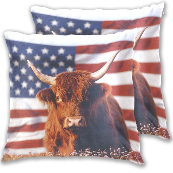 Highland Cow Flag Flowers Throw Pillow Covers Pillowcases 18 x 18 Inch Home Decor 2 Packs for Bedroom Sofa