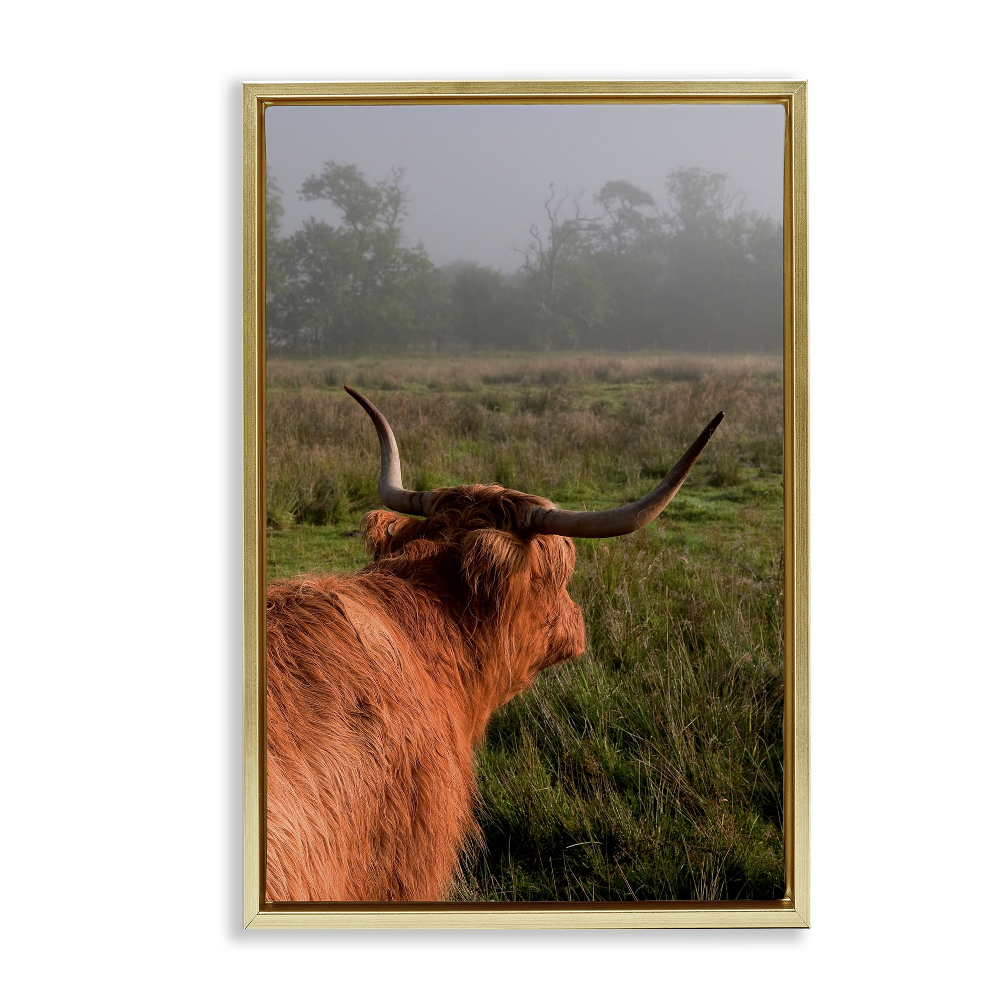 Highland Cow Gazing Out Gold Framed Floater Canvas Wall Art, design by Jenny Rainbow Fine Art