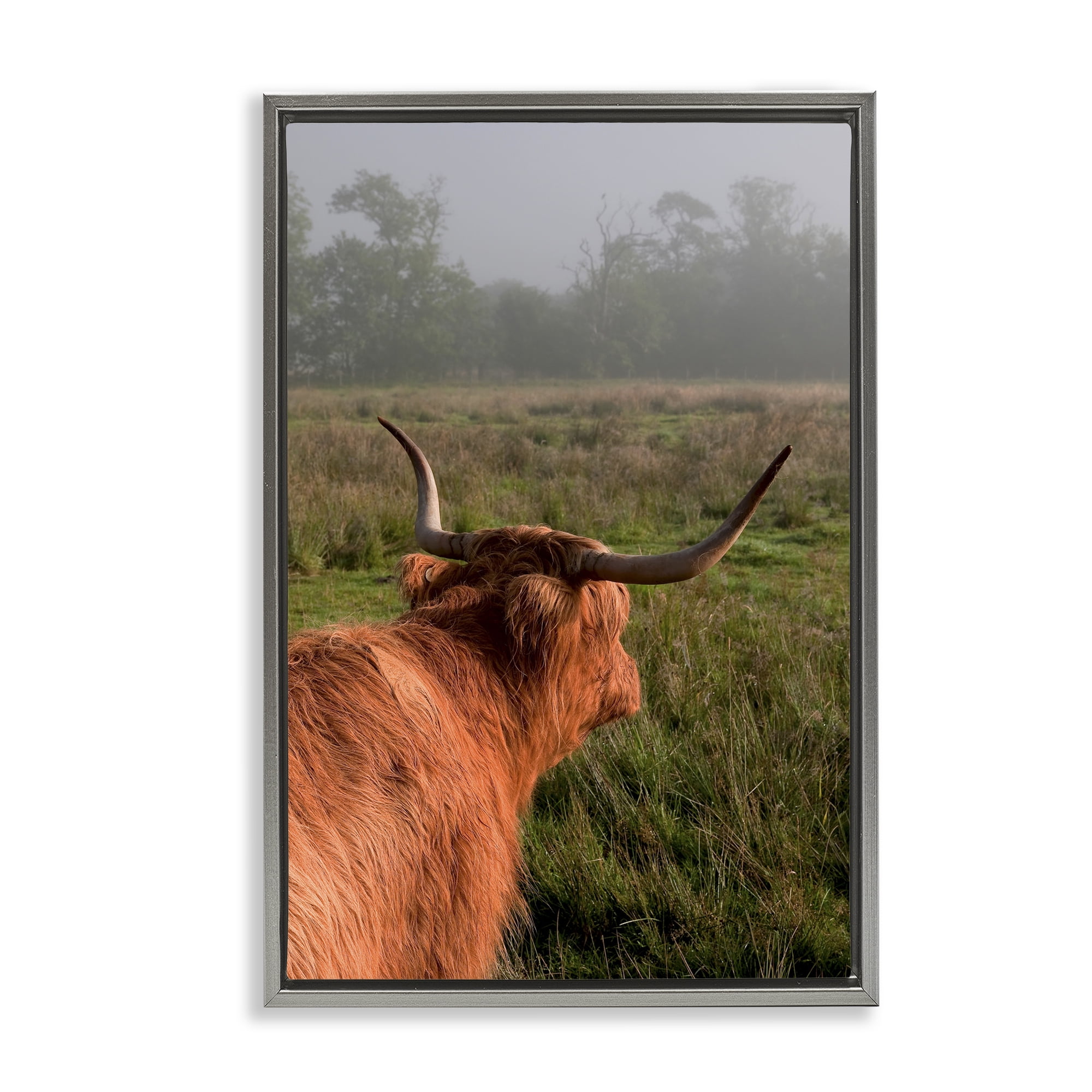 Highland Cow Gazing Out Gray Framed Floater Canvas Wall Art, design by Jenny Rainbow Fine Art