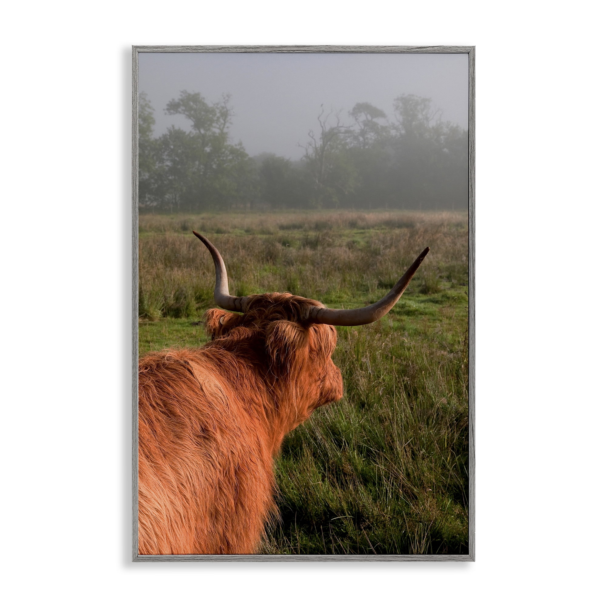 Highland Cow Gazing Out Gray Framed Giclee Art, design by Jenny Rainbow Fine Art