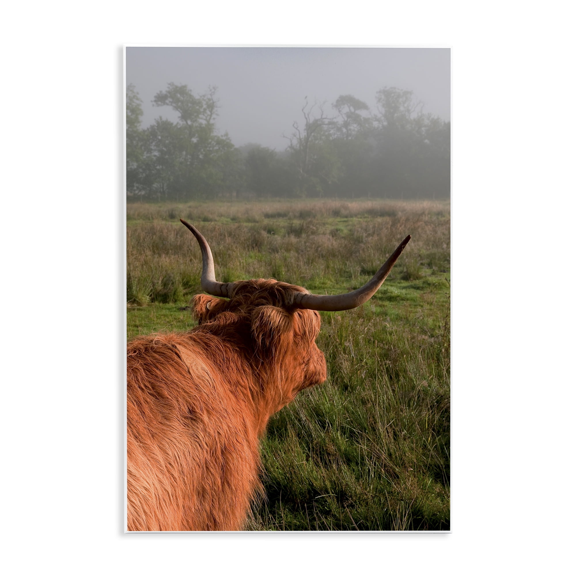 Highland Cow Gazing Out Wall Plaque Art, design by Jenny Rainbow Fine Art