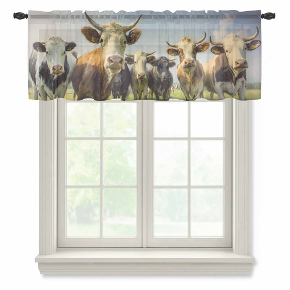 Highland Cow Group Sheer Valances for Windows, Retro Country Cows Grass Blue Sky Semi Sheer Kitchen Valance Rod Pocket Small Voile Window Curtains for Living Room Bedroom 42 x 12 Inch