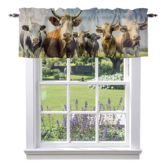 Highland Cow Group Valance Curtain for Windows Retro Country Cows Grass Blue Sky Rod Pocket Curtain Valances Short Window Treatments Panels for Kitchen Bathroom Laundry Room Basement 60 x 14 Inch