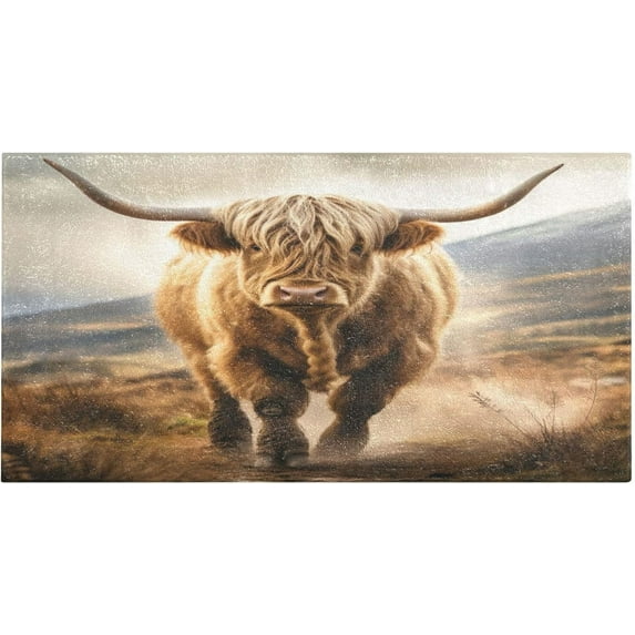 Highland Cow Kitchen Mat Soft and Absorbent Bath Mats for Bathroom Non Slip Quick Dry Shaggy Bath Carpet Machine Wash for Kitchen Bathroom Shower 39x20 in Home Decor