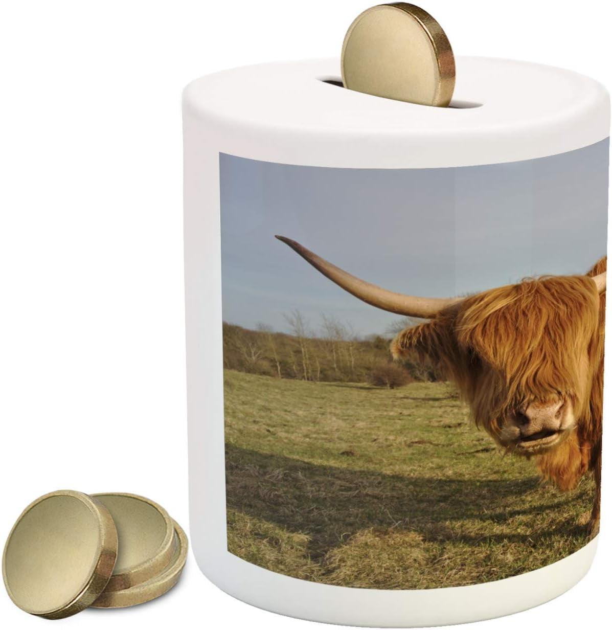 Highland Cow Piggy Bank, Wide Angle Portrait Photo Of Famous Hairy