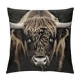 thumbnail image 1 of Highland Cow Pillow Cases Cushion Covers Highland Cattle Throw Pillow Covers  for Cute Brown Animal Western Decor Decorative Throw Pillowcases Wildlife Farmhouse Cushion Cases, 1 of 5