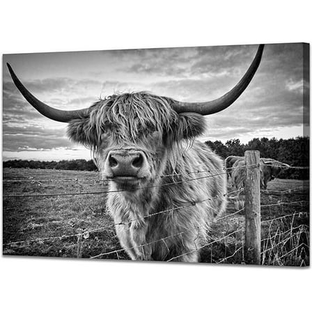 Highland Cow Wall Art Canvas Black and White Cow Picture Prints  Artwork for Bathroom Farmhouse Wall Decor