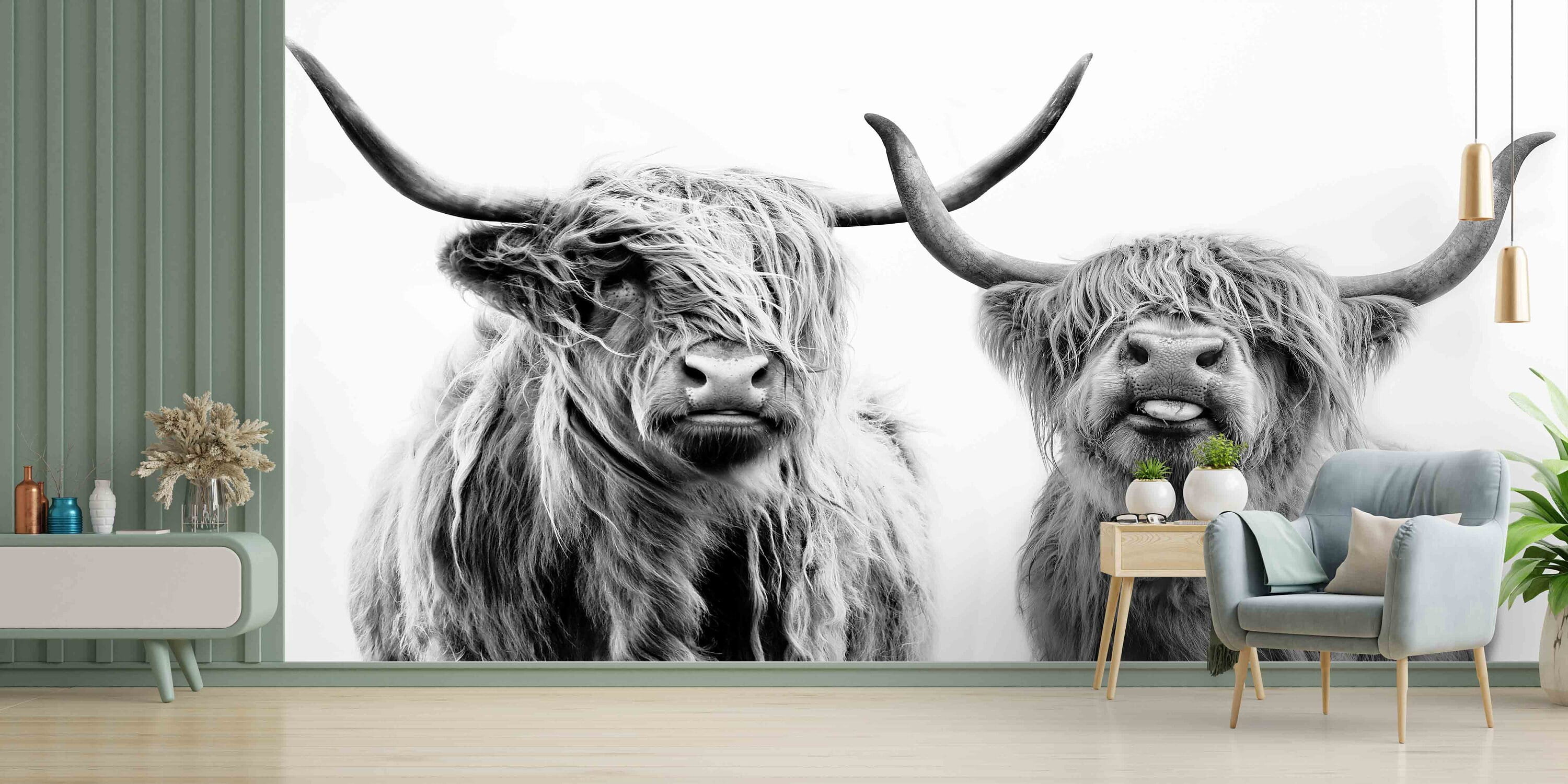 Highland Cow Wall Art, Scottish Wall Art, Animal Wallpaper, Cow Mural ...